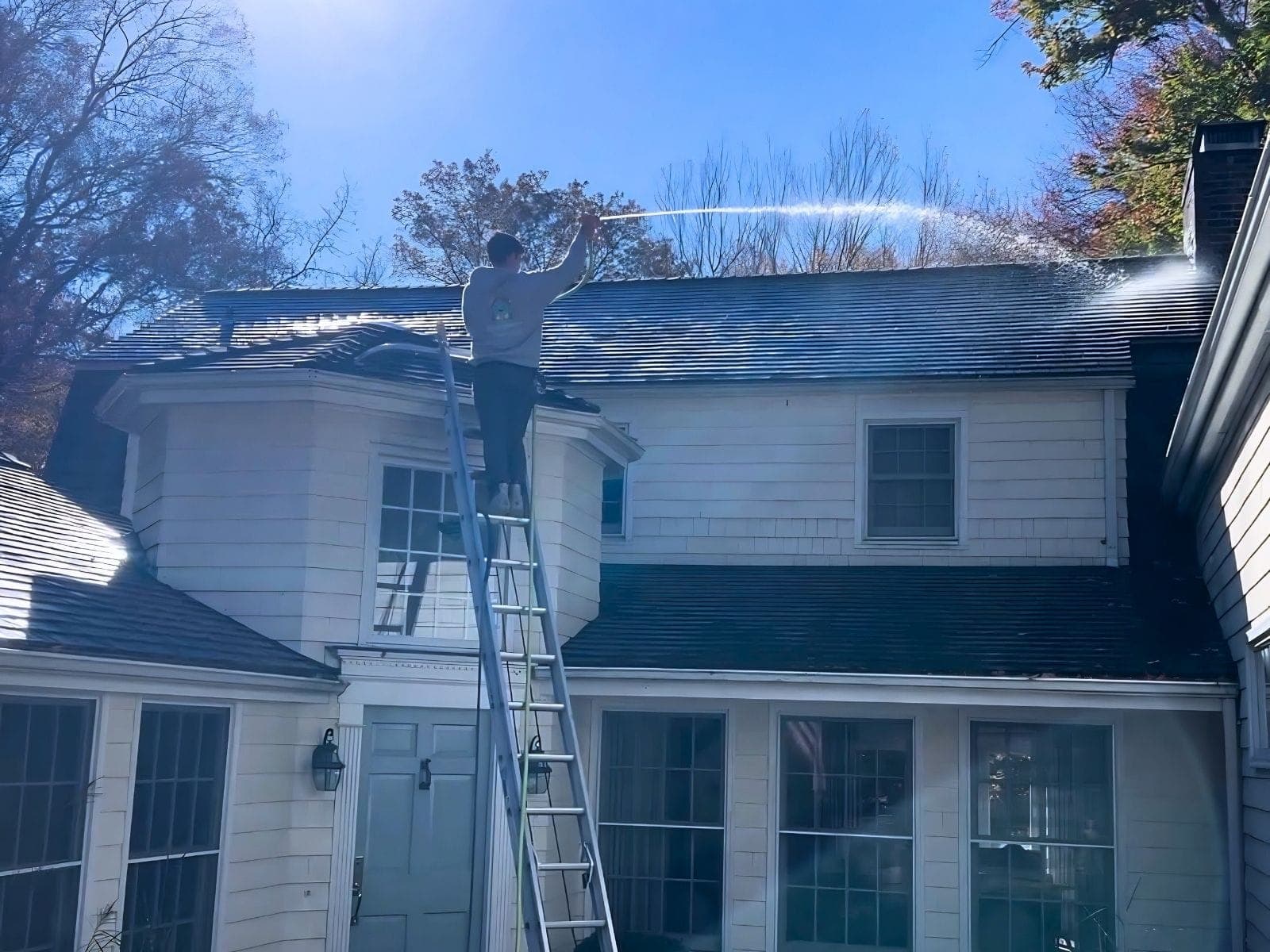 Roof Soft Washing